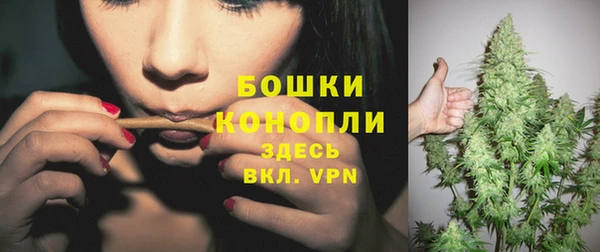 дживик Новокубанск