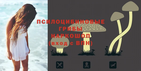 метадон Новодвинск