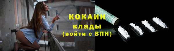 сатива Болохово