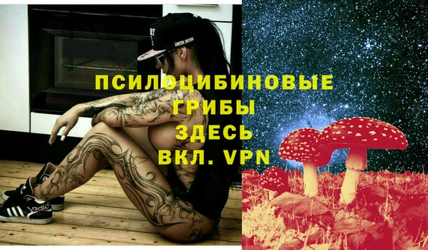 спайс Новозыбков