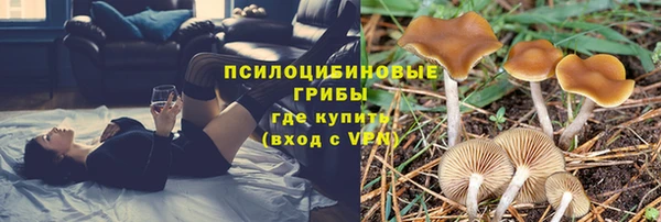 дживик Новокубанск