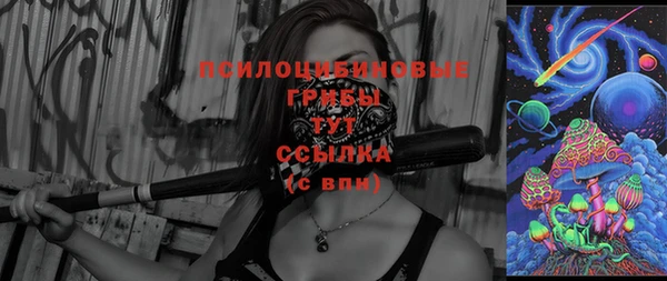 дживик Новокубанск