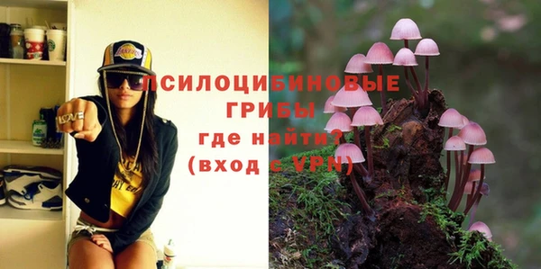 дживик Новокубанск