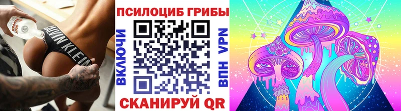 Купить  Ейск  Псилоцибиновые грибы Psilocybine cubensis 